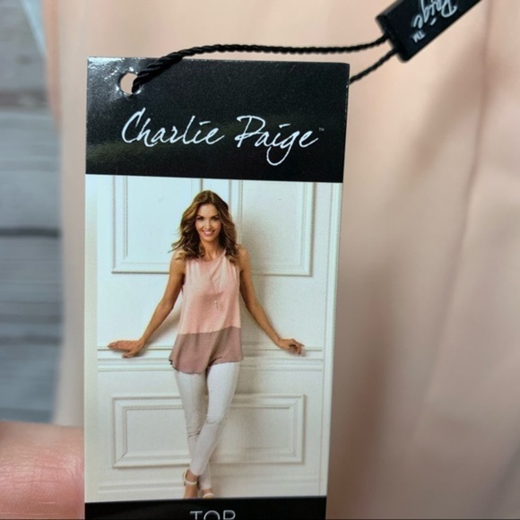 NWT Charlie Paige Color Block Chiffon Chemise Top - Picture 7 of 7